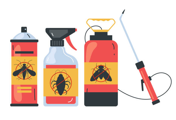 Best Termite Control Services  in Chesapeake Ranch Estates, MD