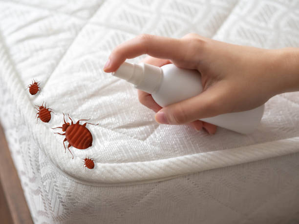 Best Pest Removal Services  in Chesapeake Ranch Estates, MD
