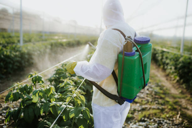 Best Pest Prevention Services  in Chesapeake Ranch Estates, MD
